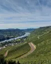 Germany, Mosel, Weingut S. A. Prüm - Mosel Wine Journey