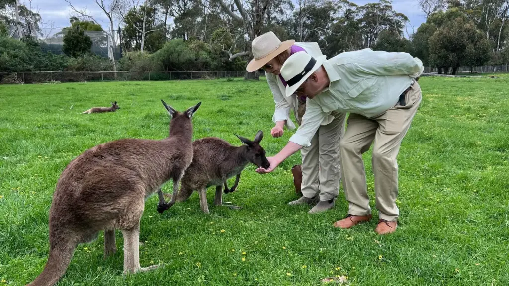 Australia, From Adelaide - Groovy Grape Barossa Day Out