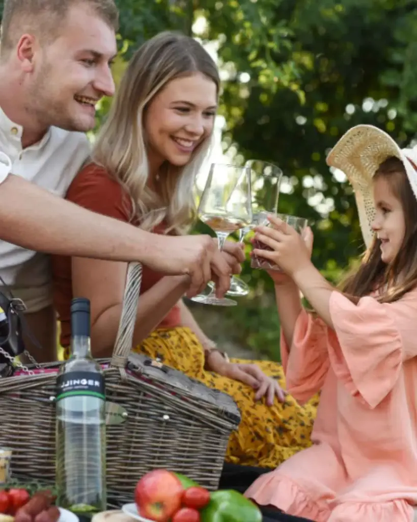 Austria, Burgenland, Leo HILLINGER - Picnic In The Vineyards 