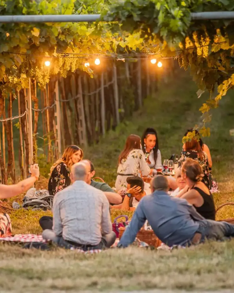 Italy, Veneto, La Dama S.S.A. - Picnic in the vineyards