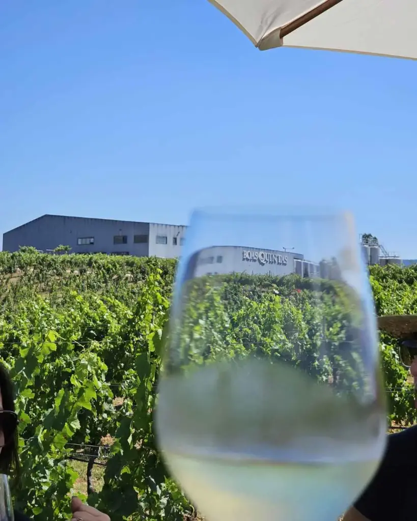 Portugal, Dao, Boas Quintas - Quinta da Giesta