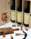 Italy, Apulia, Torleanzi Masseria Wine Relais - Sommelier Wine Experience