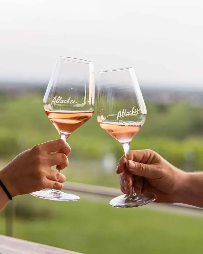 Austria, Burgenland, Allacher Vinum Pannonia - Allacher’s Tasting Experience