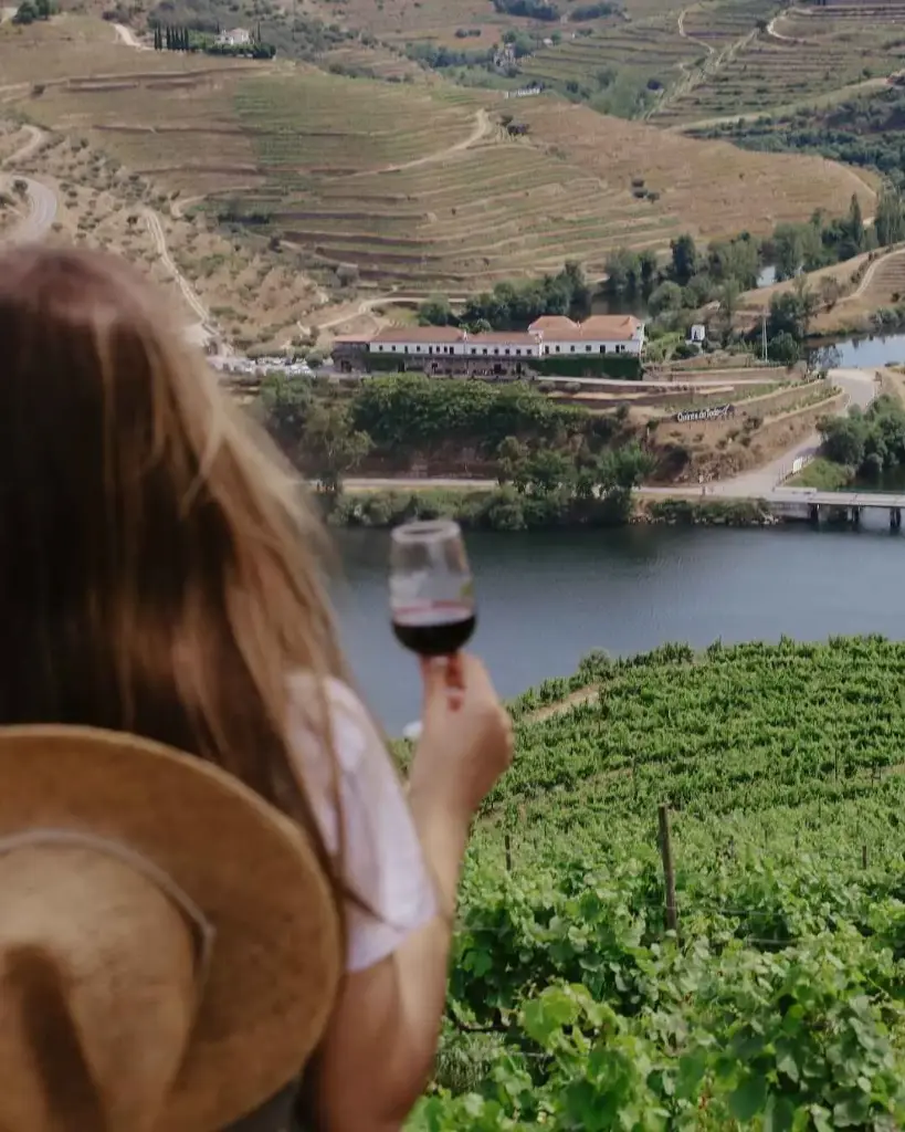 Portugal, Douro, Quinta do Tedo - Tour and Special Tasting