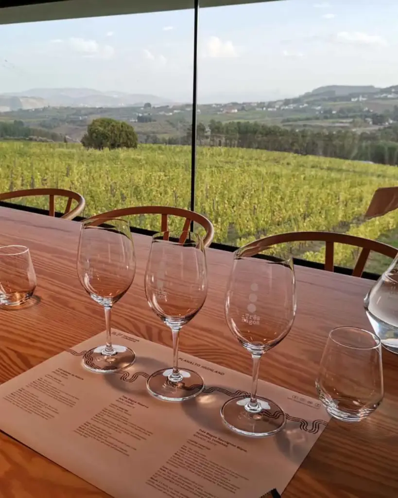 Portugal, Douro, Lavradores De Feitoria - Guided Tour With Wine Tasting - Terroir