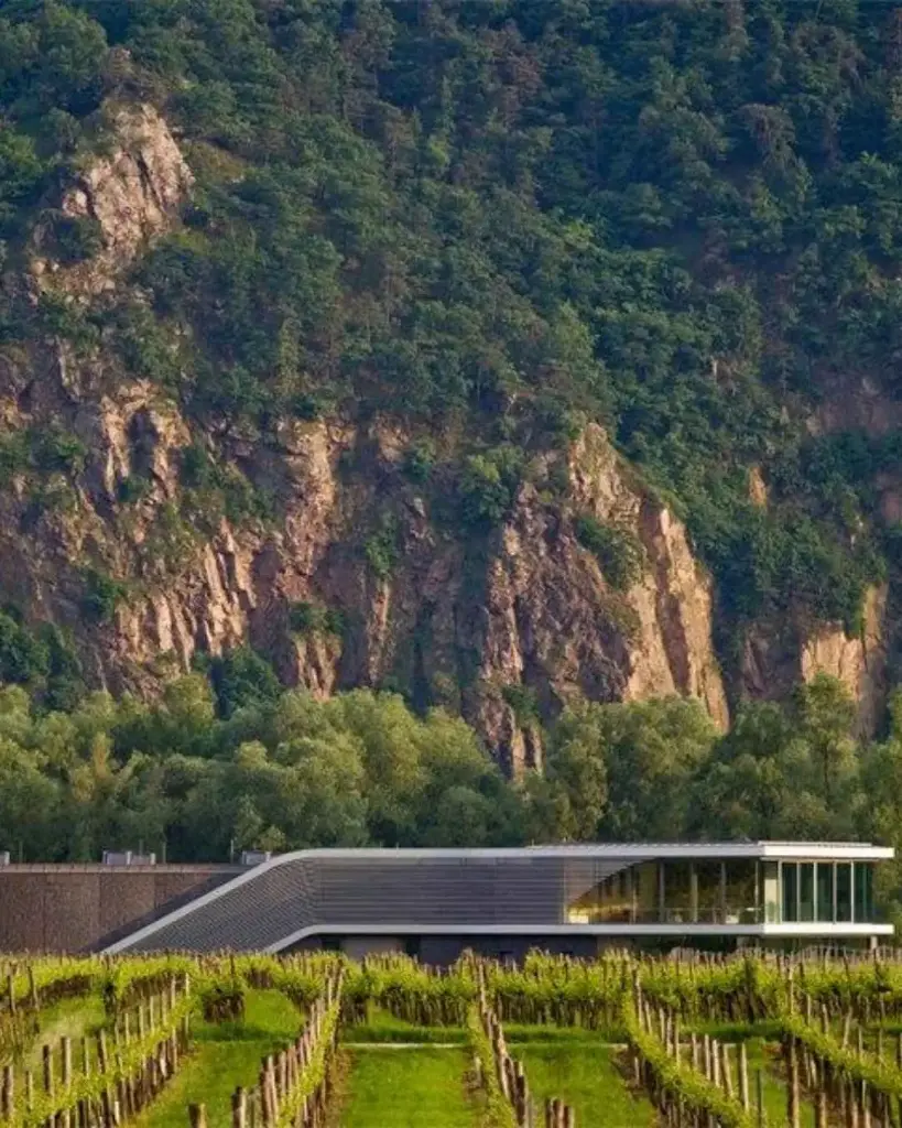 Austria, Lower Austria, Weingut F.X. Pichler - Wine tasting