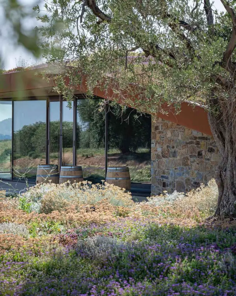 Italy, Tuscany, Tenuta Il Quinto - Light Tasting