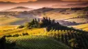 Italy, Tuscany, From Florence and Siena -Sommelier Guided Wine Tour in Chianti
