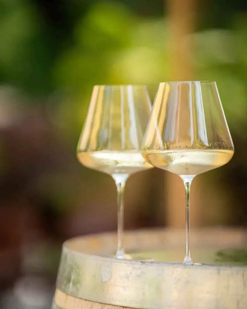 Italy, Trentino - Alto Adige, Castel Sallegg - Cellar tour & tasting of five wines