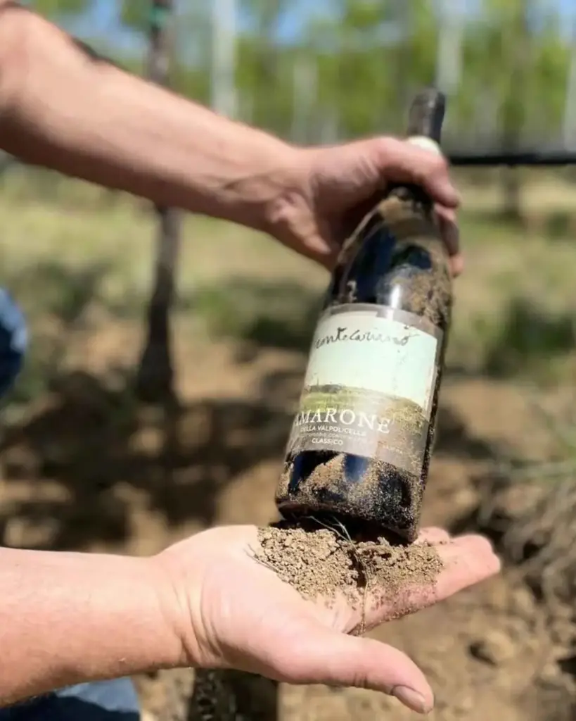 Italy, Veneto, Verona - Boutique Winery Tour & Tasting in Valpolicella