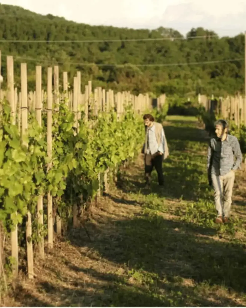 Italy, Tuscany, Massa Carrara - Boutique Winery Tour & Tasting in North Tuscany