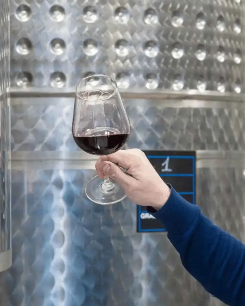 Italy, Lazio, Rome - Boutique Winery Visit & Tasting near Rome