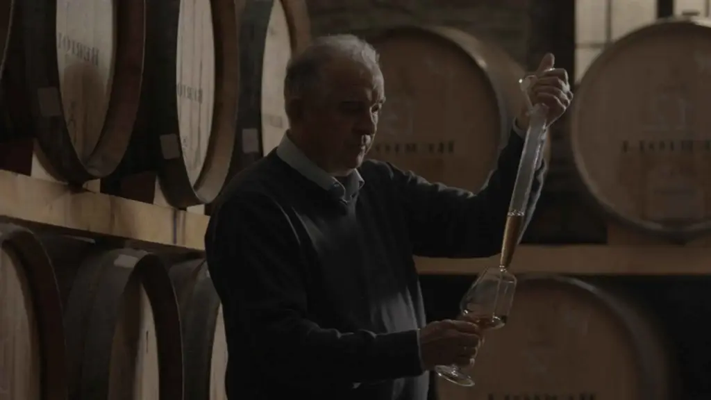 Italy, Umbria, Perugia - Perugia Winery Visit & Tasting near the Lake Trasimeno