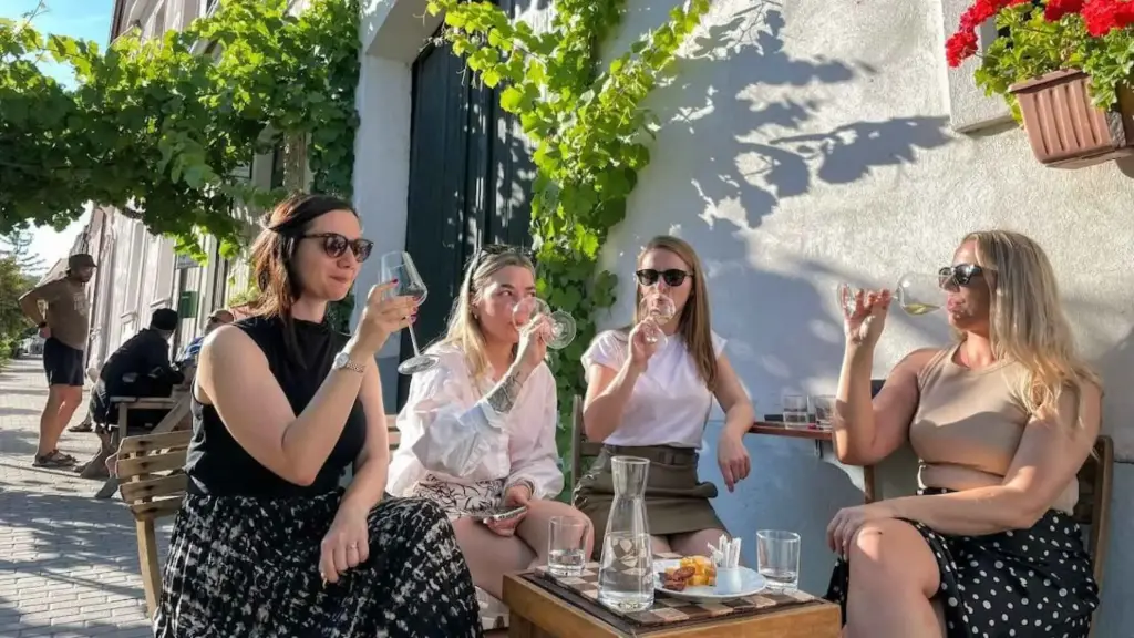 Slovakia, Organic Wine Tasting in Bratislava