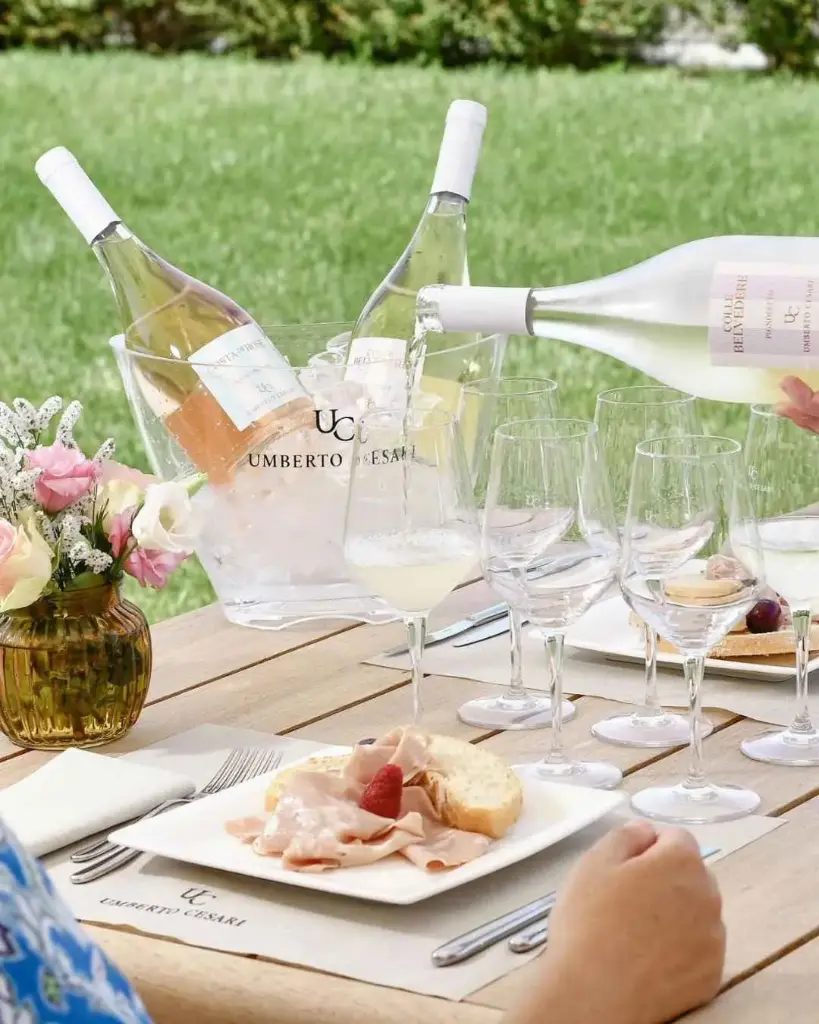 Italy, Emilia-Romagna, Bologna - Wine Tasting with Food Pairing near Bologna