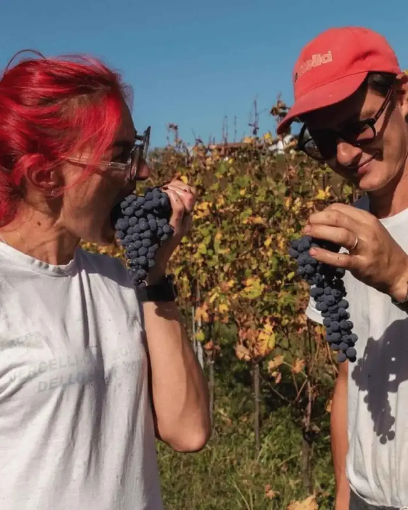 Italy, Piedmont, Asti - Wine Tasting and Winery Visit near Asti and Turin