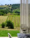 Italy, Tuscany, Grosseto - Winery Visit & Tasting near Grosseto with 6 wines