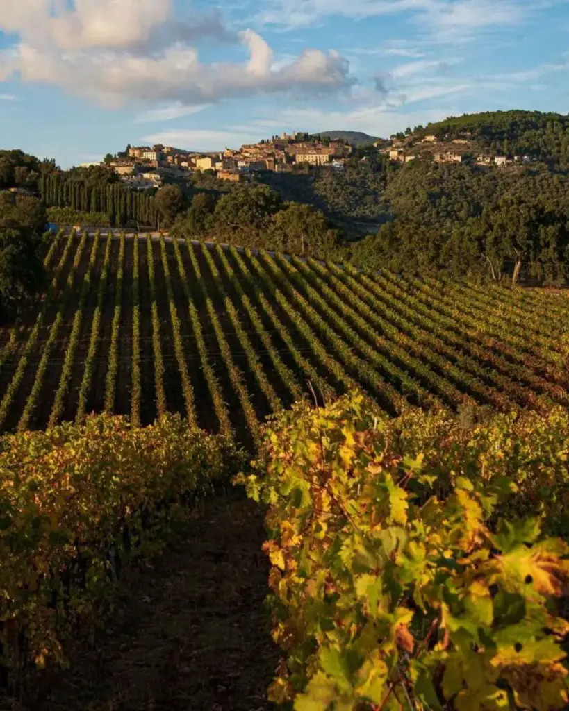 Italy, Tuscany, Livorno - Wine Tasting with Local Food Pairing near Livorno