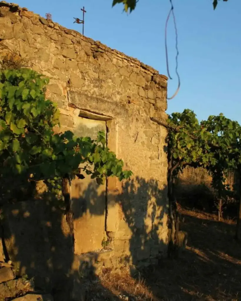 Italy, Lazio, Rome - Wine Tasting & Medieval Town Visit at Castelli Romani