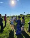 Italy, Veneto, Vicenza - Vineyard Walk & Wine Tasting in the Berici Hills of Vicenza