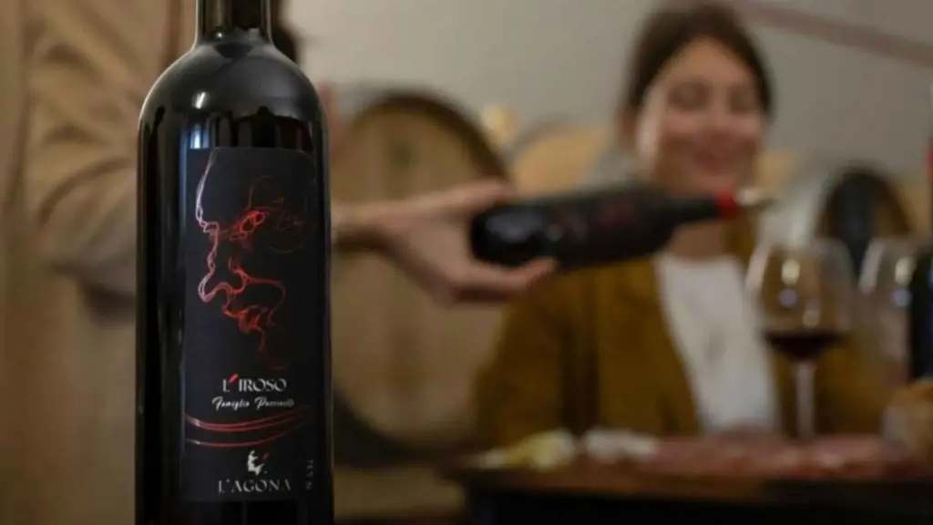 Italy, Tuscany, Pisa - Soiana: Vineyard & Cellar Tour with Wine Tasting near Pisa