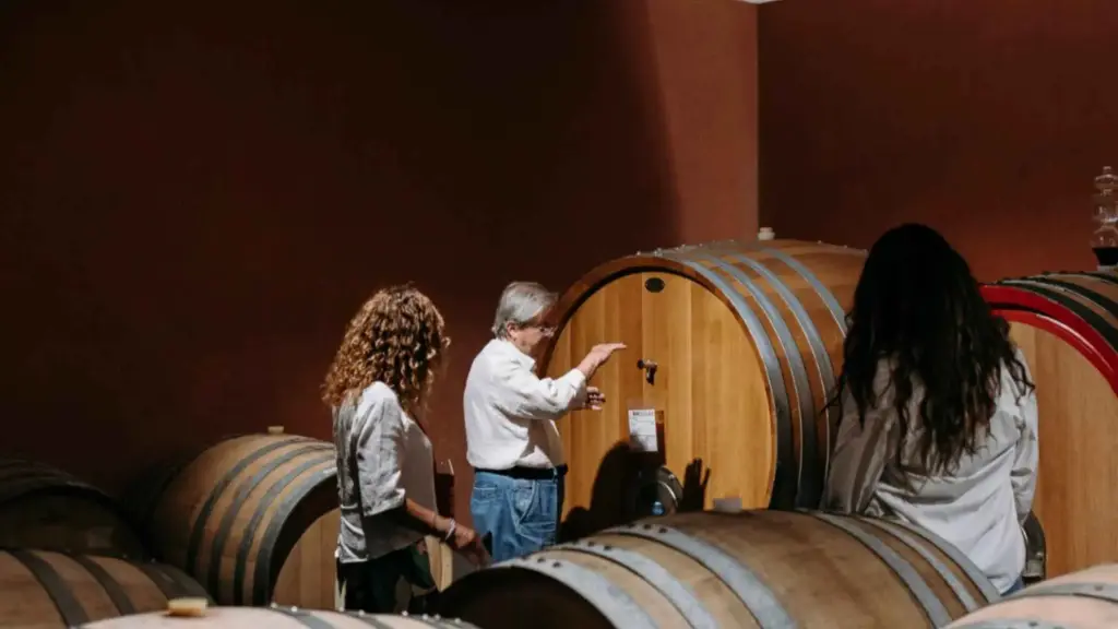 Italy, Sicily, Catania - Winery Visit & Tasting on the Volcanic Slopes near Catania