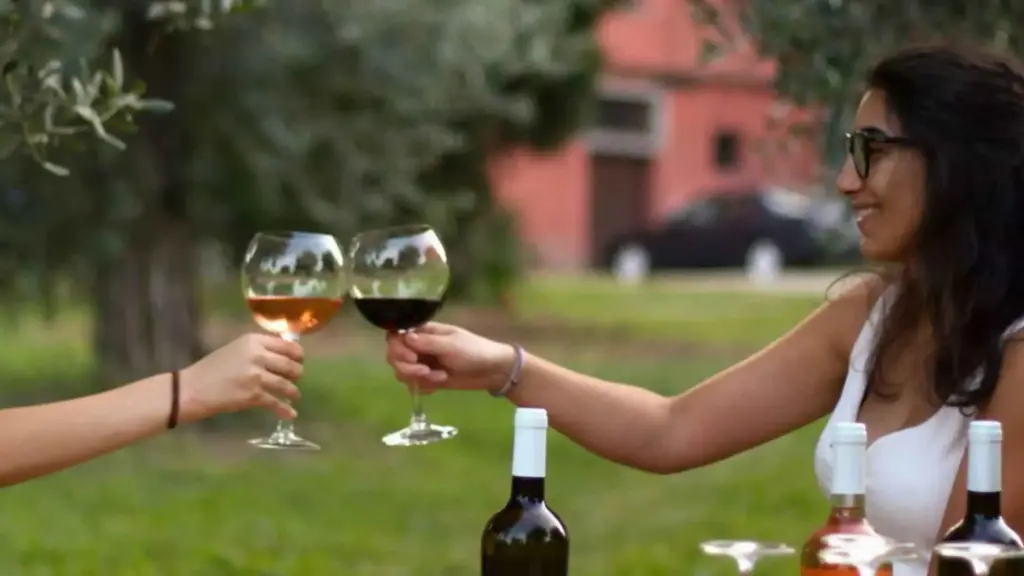 Italy, Lombardy, Brescia - Winery Tour with Wine and Food Tasting near Lake Garda