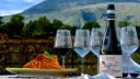 Italy, Campania, Napoli - Winery Tour with Organic Wine Tasting & Lunch near Pompeii