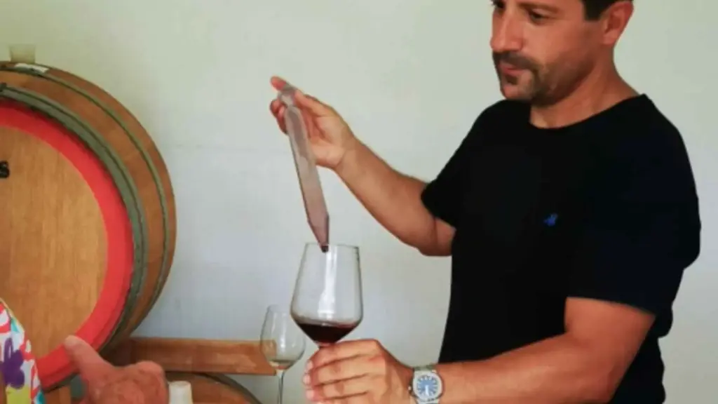 Italy, Sardinia, Cagliari - Boutique Winery Tour with Wine & Food Tasting near Cagliari