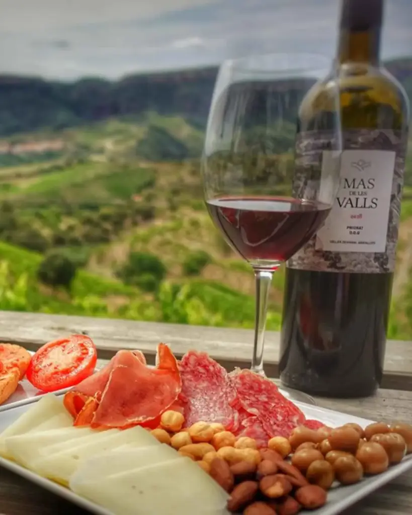 Spain, Catalonia, Celler Devinssi - PICA-PICA wine tastings