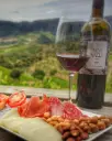 Spain, Catalonia, Celler Devinssi - PICA-PICA wine tastings