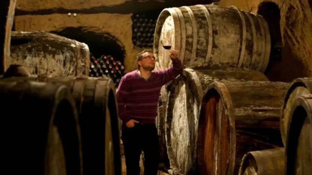 Italy, Umbria, Terni - Wine Tasting with Food and Tufa Cellar Visit in Orvieto