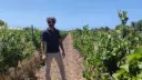 Italy, Sicily, Ragusa - Winery Tour with Wine Tasting & Local Food near Ragusa