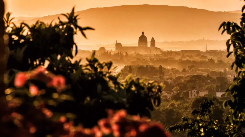 Italy, Umbria, Perugia - Organic Wine Tasting, Local Food & Vineyard Walk near Assisi