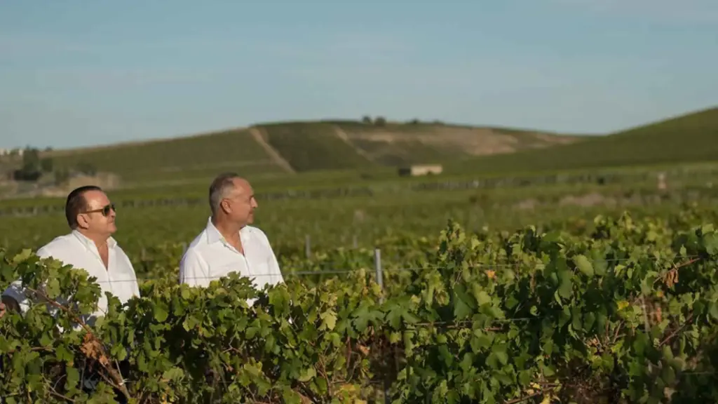 Italy, Sicily, Trapani - Winery visit & Tasting in Marsala