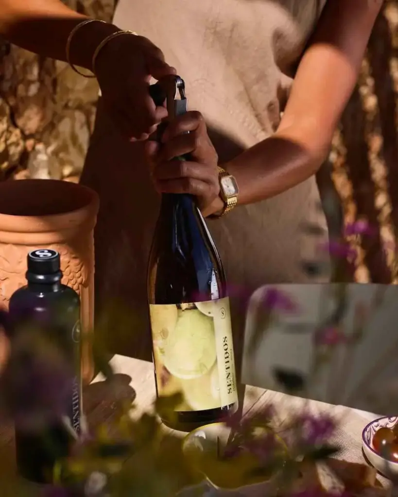 Portugal, Algarve, Quinta dos Sentidos - Wine and olive oil tasting