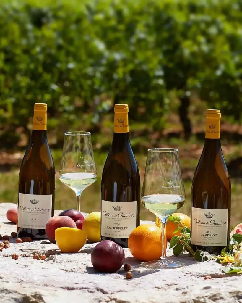 France, Burgundy, Château de Chamirey - Prestige Tasting