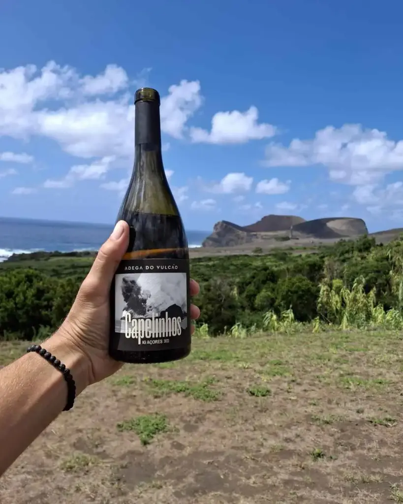 Portugal, Azores, Adega do Vulcao - Adega dos Capelinhos, Faial - Premium Tasting