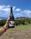 Portugal, Azores, Adega do Vulcao - Adega dos Capelinhos, Faial - Premium Tasting