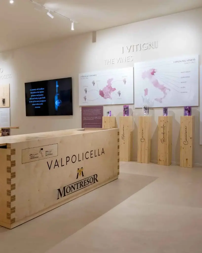 Italy, Veneto, Cantine Giacomo Montresor - White still and sparkling wines from Veneto Tour and Tasting