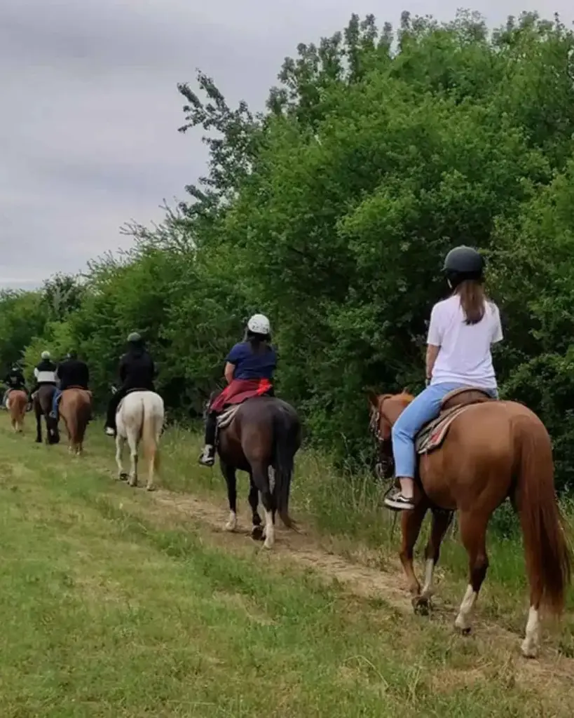 Italy, Veneto, Cantine Giacomo Montresor - Equestrian walk and Wine Tasting