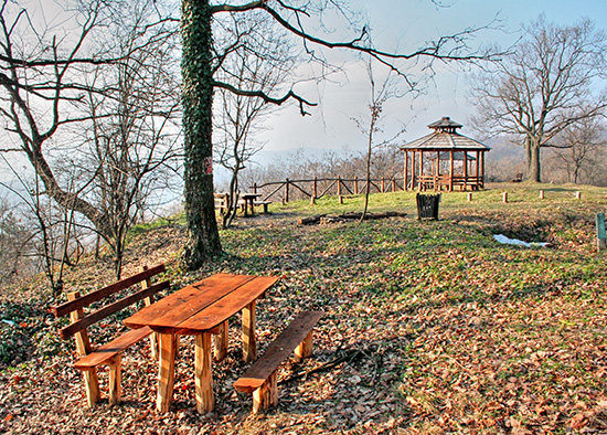 Serbia, Fruska Gora, From Novi Sad - Fruska Gora hike and wine tour