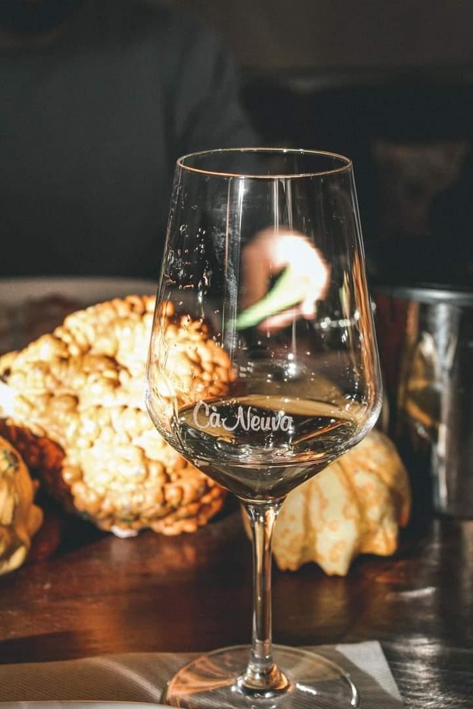 Italy, Piedmont, Azienda Agricola Ca' Neuva - Tasting of 7 types of Piedmont wines