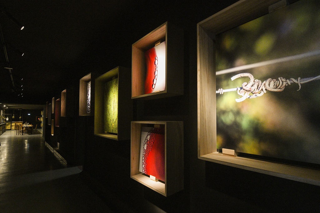 Italy, Tuscany, Roberto Cipresso - International Exclusive Wine Experience