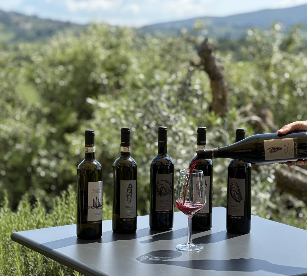 Italy, Tuscany, Mormoraia - Wine Break & Lunch