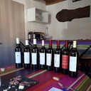 France, Languedoc - Roussillion, Domaine Vents du Sud - Tasting of 6 natural wines