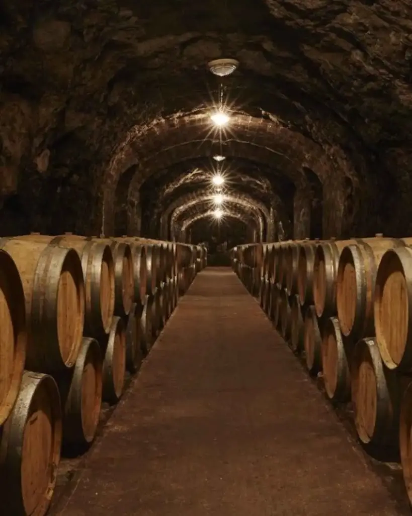 Hungary, Tokaj, Disznókő - Wine tasting and tour