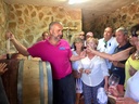 Spain, Andalusia, From Malaga - TOP WINE TOUR- Vineyard & cellar visit + 6 top wines + paired tapas