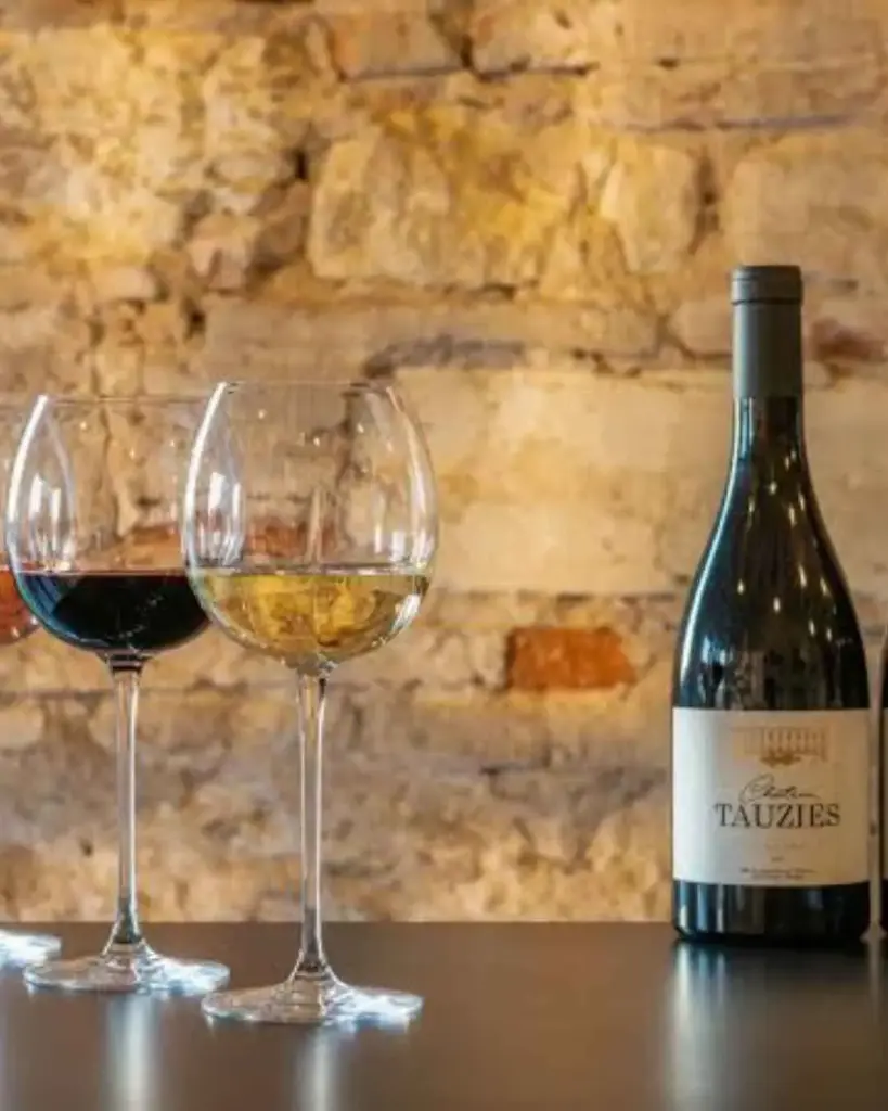 France, South West, Chateau De Tauzies - Wine tasting