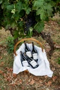 Portugal, Dao, Pereira de Melo - Tapas in the vineyard (at a table or picnic)